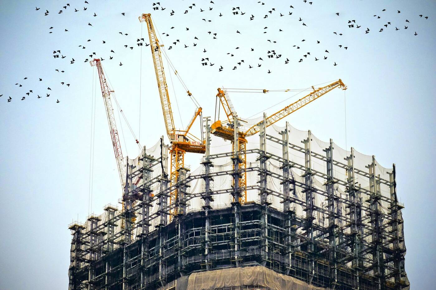 Equipo de reformas trabajando en una vivienda en Sevilla
